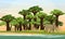 Yellow baboon is walking on the African savannah. Baobab grove. African savannah. Baobab grove on the lake.
