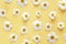 Yellow background with chamomile pattern. Flat layer.