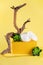 On a yellow background, cream on a pedestal, a dry branch and green plants. Hard light