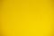 Yellow background with veins and the vertical direction
