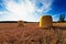 Yellow Bales On The Early Autumn Fields