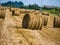 Yellow bales of hay on filed in summer