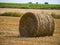 Yellow bales of hay on filed in summer