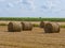 Yellow bales of hay on filed in summer