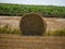 Yellow bales of hay on filed in summer