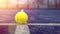 Yellow ball on floor behind paddle net in blue court outdoors. Padel tennis