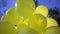 Yellow balloons with diode lights