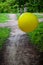 yellow balloons rolling in forest