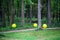 yellow balloons rolling in forest