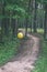 yellow balloons rolling in forest - vintage retro look