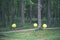 yellow balloons rolling in forest - vintage retro look