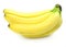 Yellow banana fruits isolated