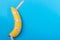 Yellow banana with measurement tape on blue background. Men penis size concept with empty free space for text or design. Top view