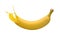 Yellow banana with paint splash