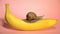 Yellow banana with snail on a pink background