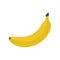 Yellow banana vector illustration