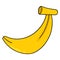 Yellow banana which is rich in vitamin c. doodle icon drawing