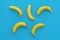 Yellow bananas on bright blue paper, trendy background. fruits m