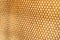 Yellow beautiful honeycomb background