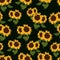 Yellow beautiful sunflower seamless pattern