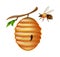 Yellow Bee Hive hanging on a branch, on white background, realistic vector illustration