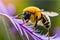 yellow bee on purple flower ai generated.