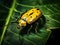 Yellow beetle  Made With Generative AI illustration