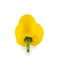 Yellow bell chilli isolated on white background with clipping pa