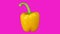 Yellow bell pepper rotating against a pink background