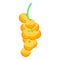 Yellow berry branch icon, isometric style