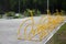 Yellow bicycle parking on a school yard