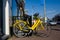 Yellow bicycles for rent