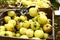 Yellow big apples and pluck stick autumn photo