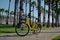 yellow bike black wheels product palm trees the rhythm of the summer sun heat promotional photo