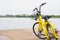 Yellow bike with swamp background. Yellow bicycle in the public