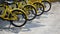 Yellow bikes parked on cobblestone pavement in public area