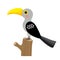 Yellow Billed Hornbill bird animal cartoon character vector illustration