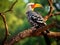 Yellow billed hornbill, Samburu, Kenya