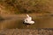 Yellow billed stork , Kruger national park, SOUTH AFRICA