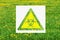 Yellow biological hazard warning sign on the backdrop of green field with dandelions, spring, copy space