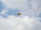 Yellow Biplane in flight