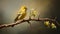 Yellow Bird On Branch: Fine Art Portraiture With Precisionist Style