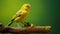 Yellow Bird On Branch: Ultraviolet Photography With Charming Characters