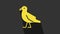 Yellow Bird seagull icon isolated on grey background. 4K Video motion graphic animation