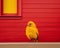 a yellow bird sitting on a ledge next to a red wall