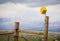 Yellow Birdhouse On A Barbed Wire Fence