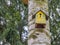 Yellow Birdhouse on a birch tree. Bird life care. Species preservation.