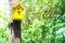 The yellow birdhouse on a tree in spring forest. Concept of approach of spring, summer, birds arrival, spring mood