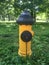 Yellow and Black Fire hydrant