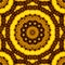 Yellow And Black Floral Seamless Pattern